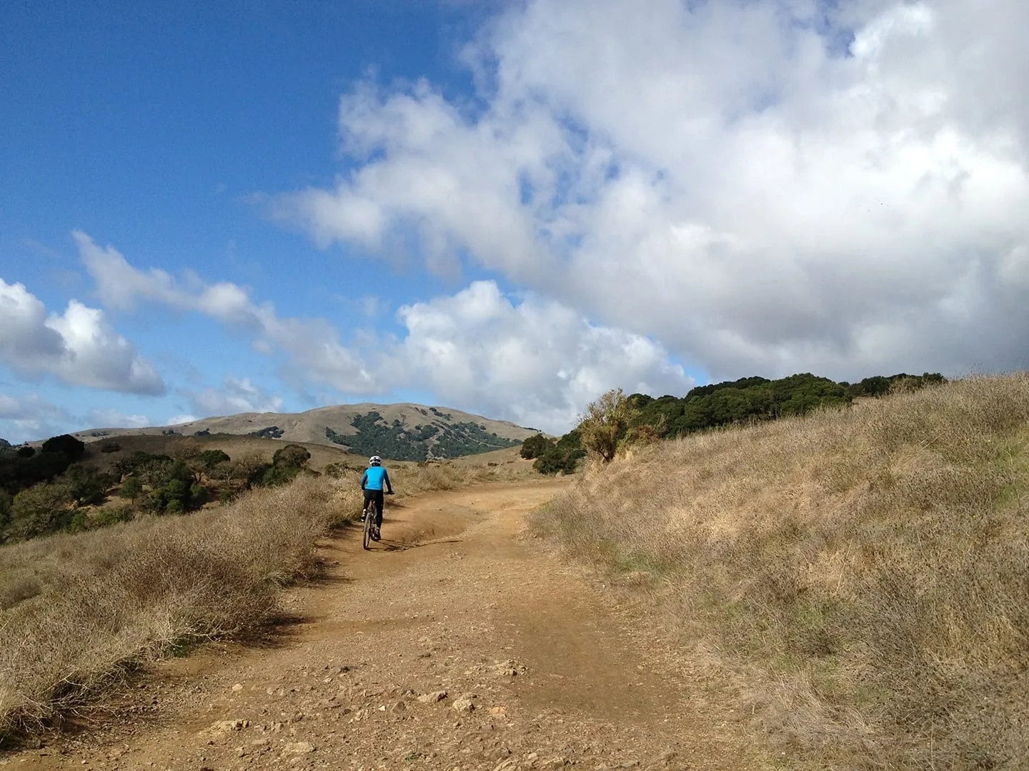 Towel cleaning for businesses in lucas valley